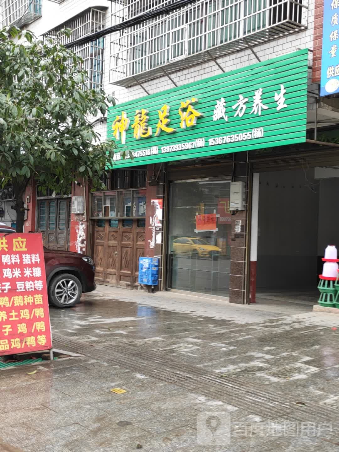双龙足浴(沪瑞线店)