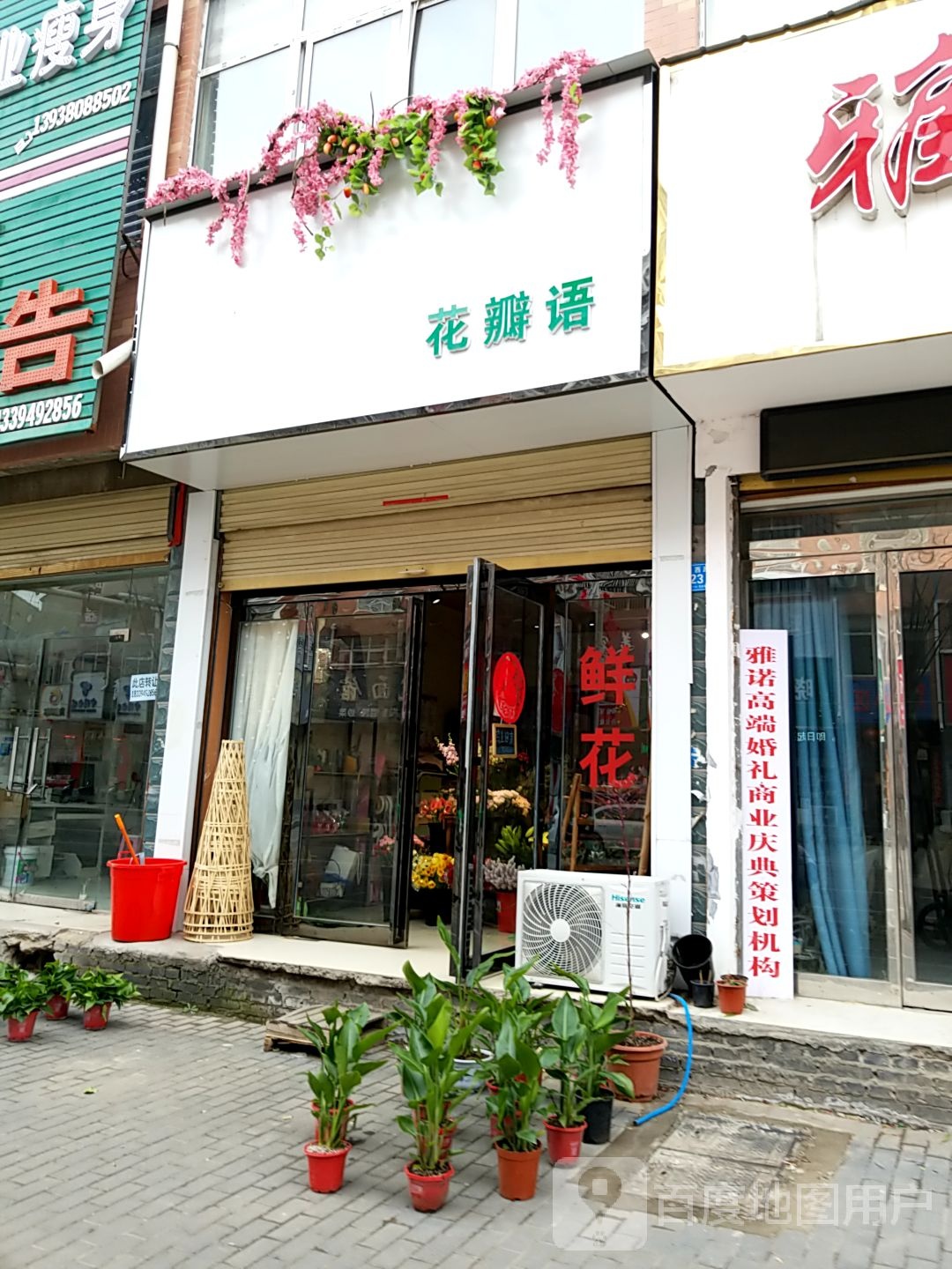 郸城县花瓣语鲜花店