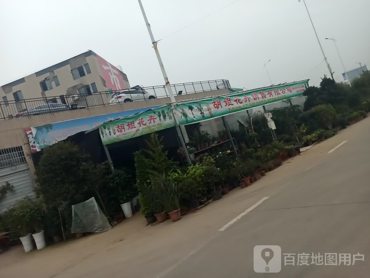 胡姐花卉(三店)