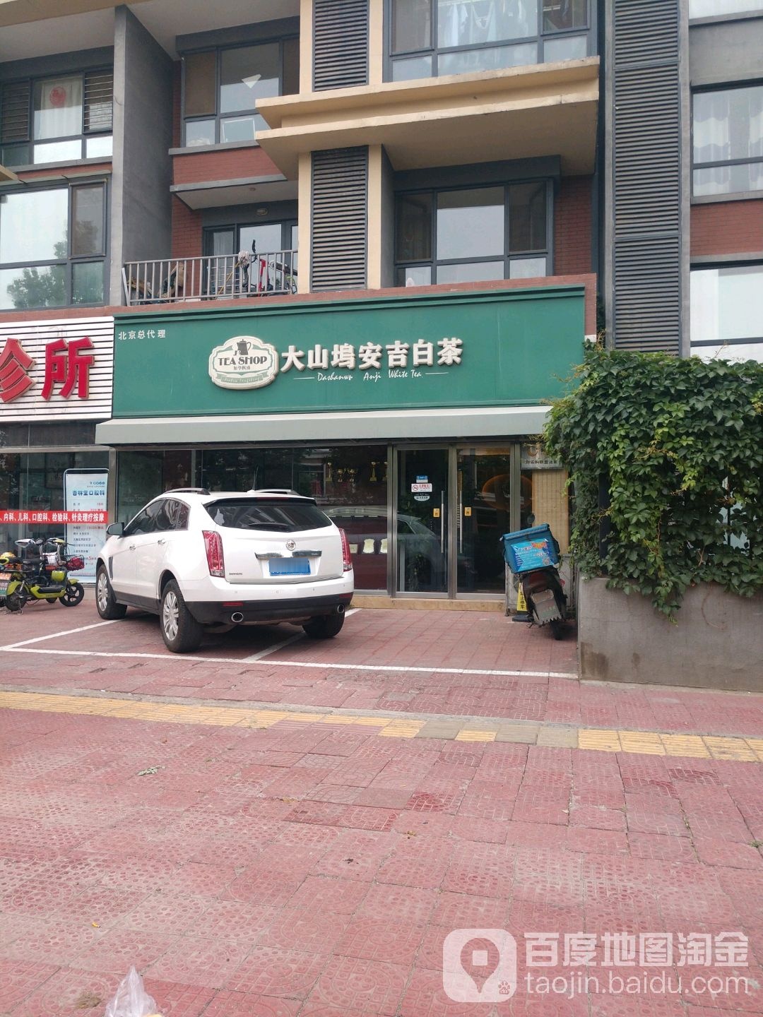 大山坞安吉白茶(北京总代理)
