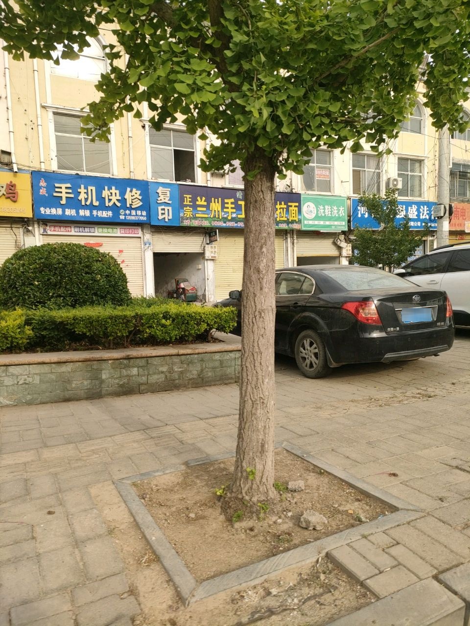 清真正宗兰州手工牛肉拉面(光华店)