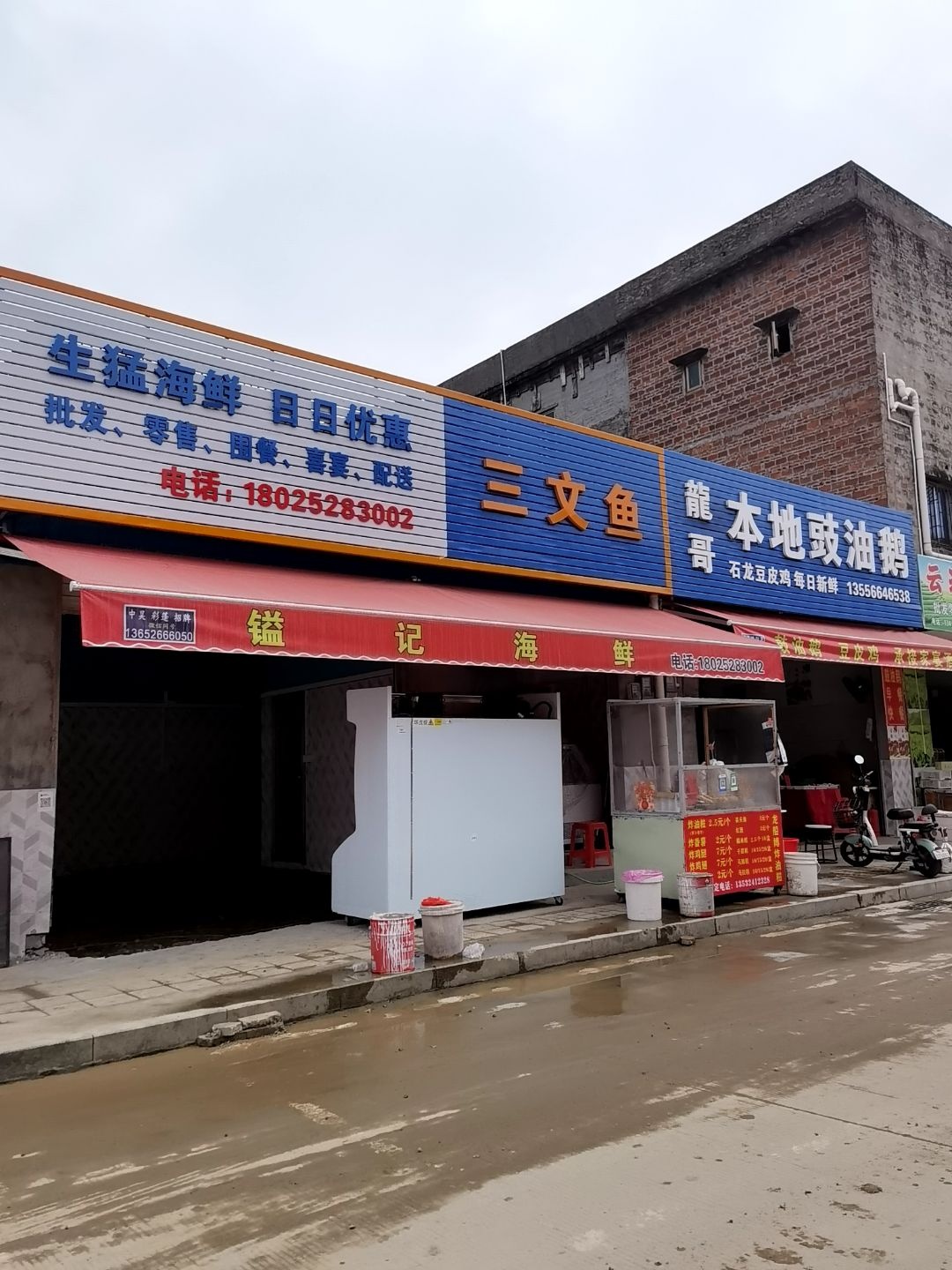 三文鱼