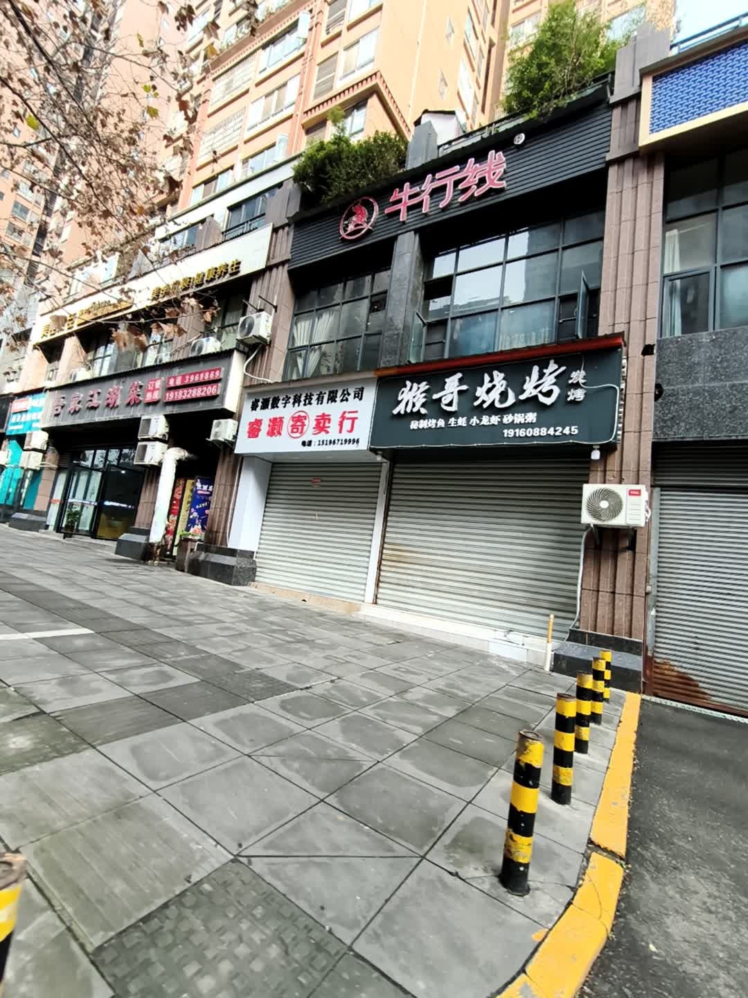 猴哥烧烤碳烤