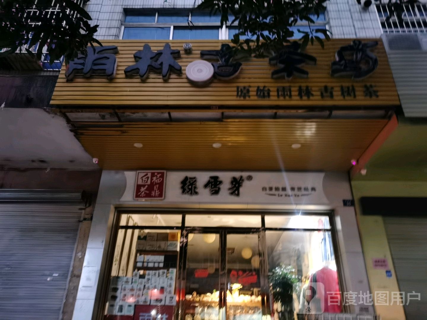 雨林古茶