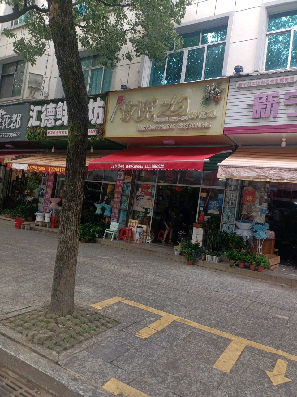 玫瑰之约(新宁店)