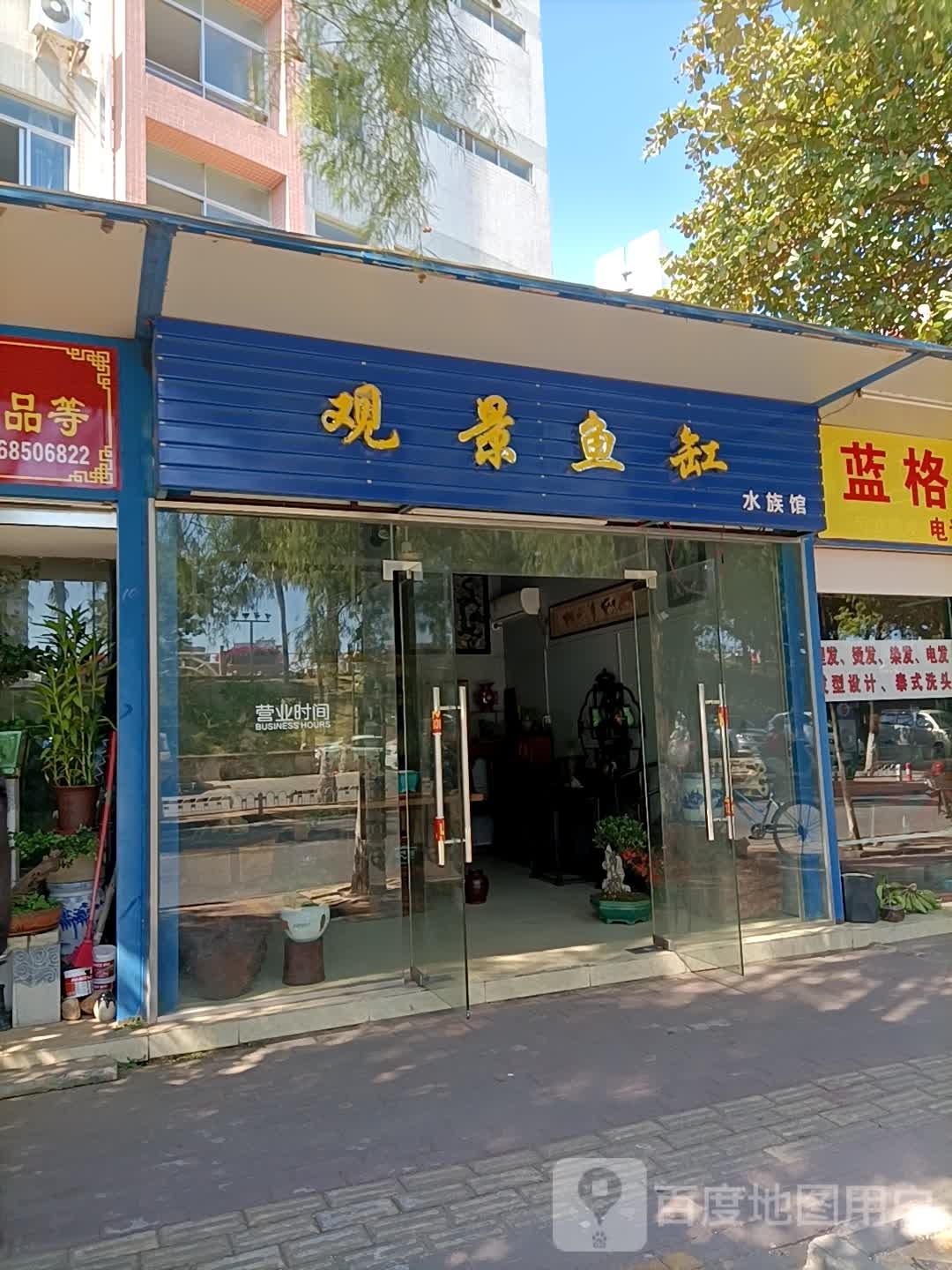 观景鱼缸水族馆