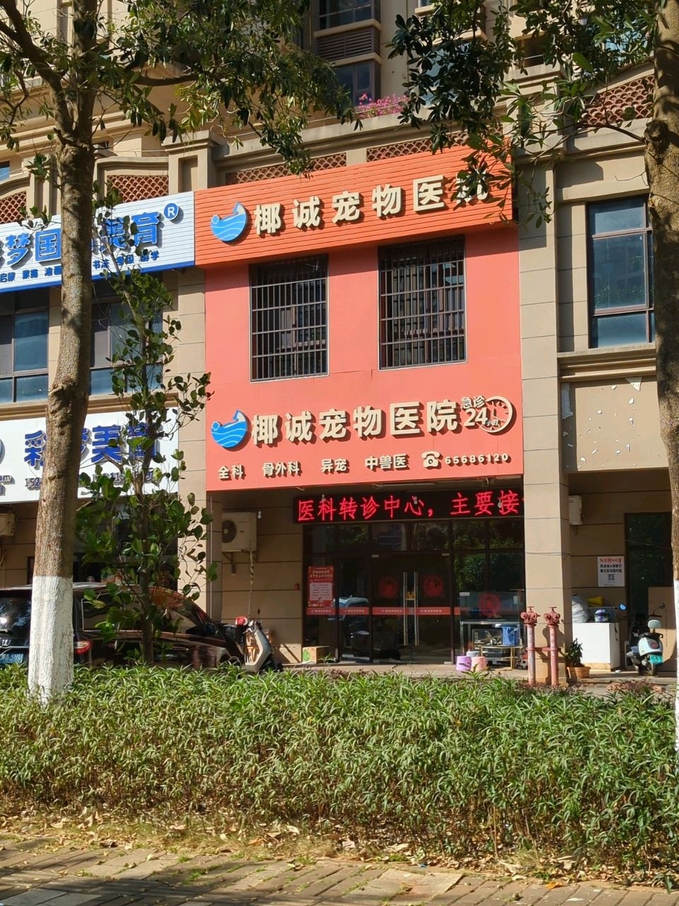 椰诚宠物医院(远大店)