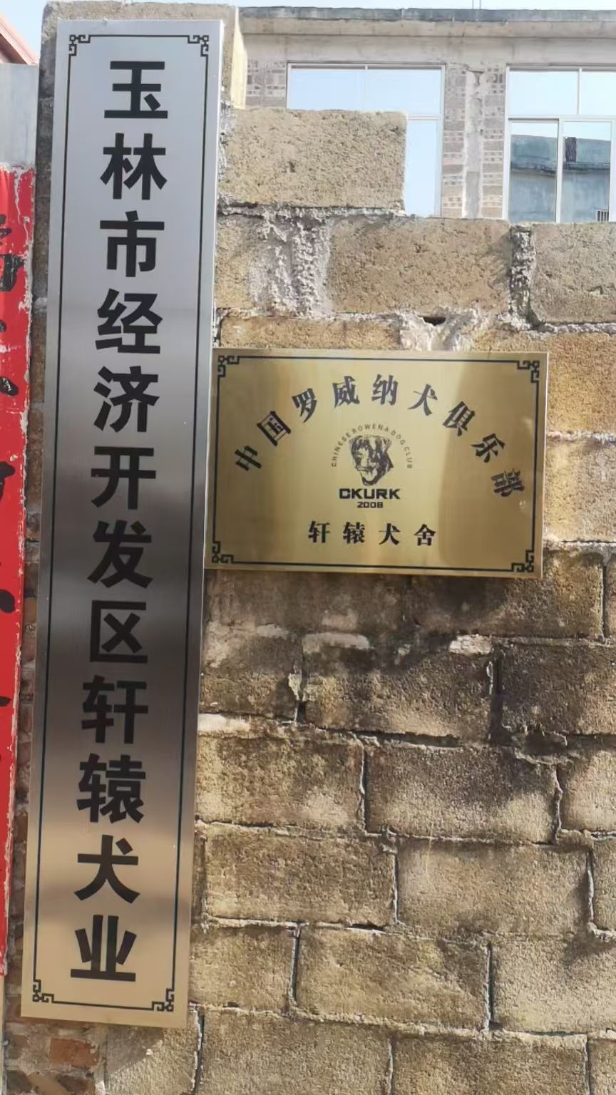 轩辕犬舍(罗威纳繁殖基地)