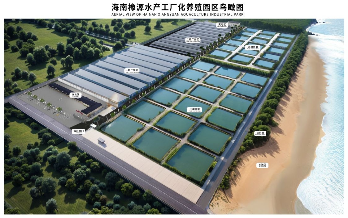 海南临高橡源水产工厂化养殖园
