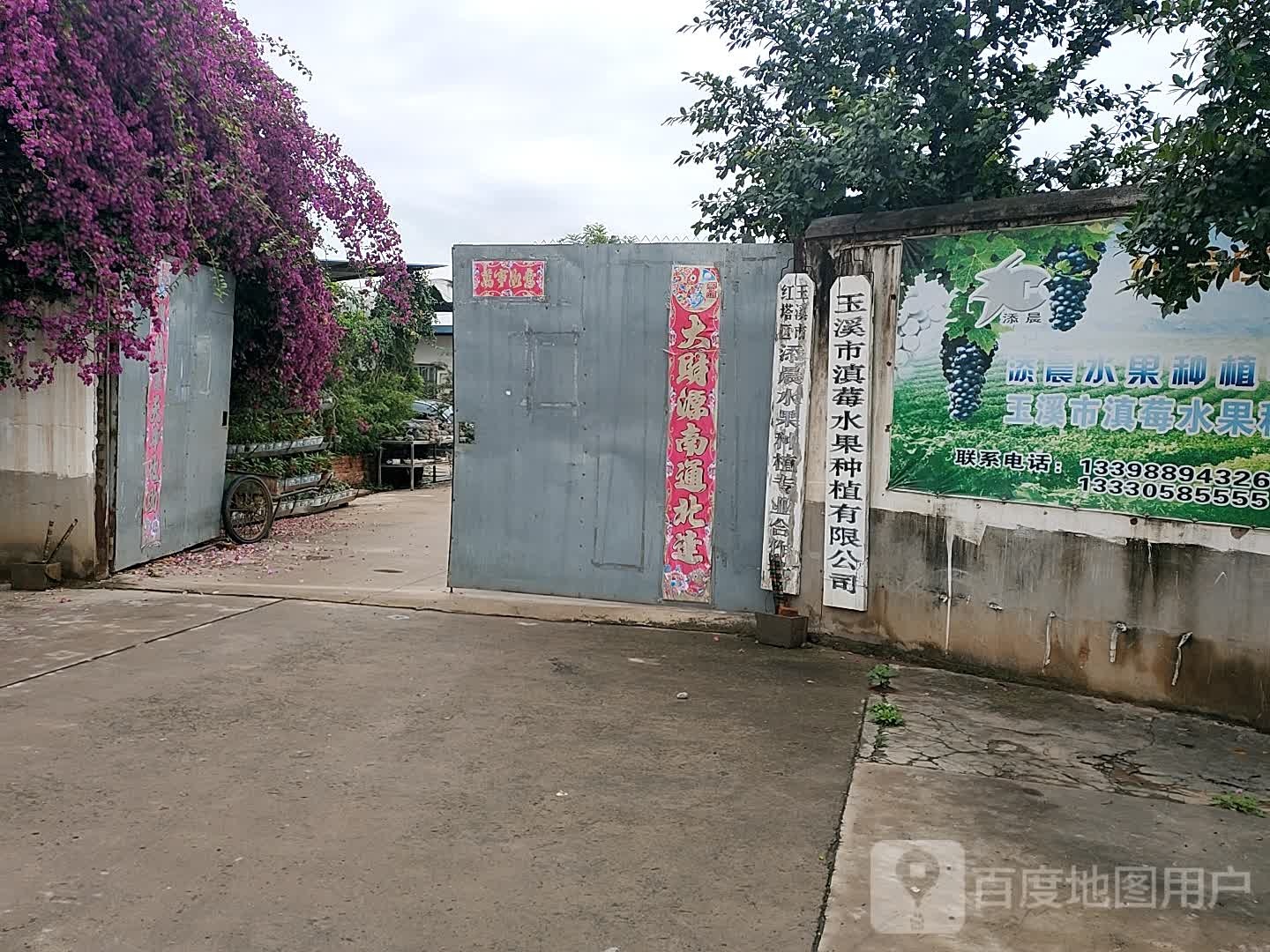 玉溪市滇苺圣果种植有限公司