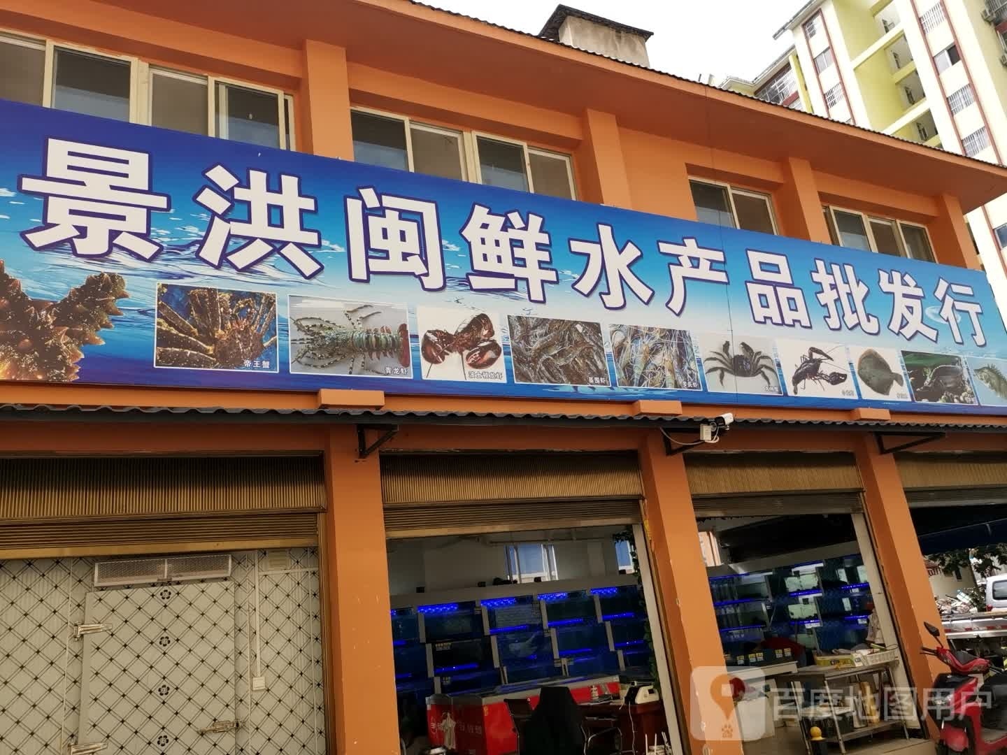景洪闽鲜水产品批发行