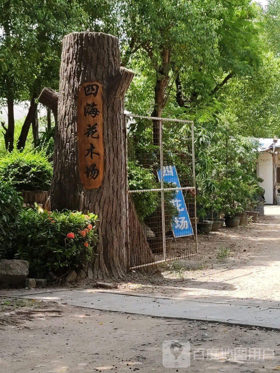 四海花木场