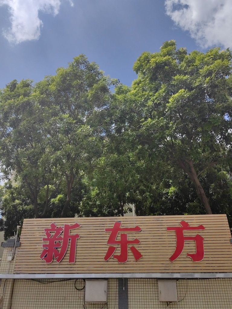 新东方试模