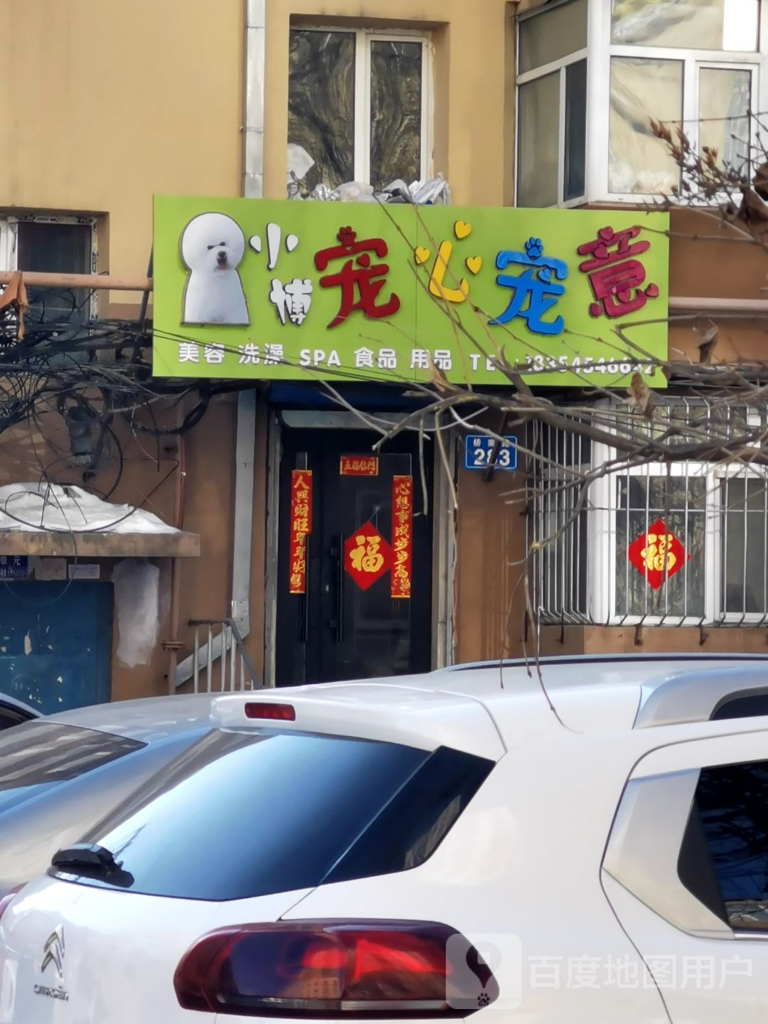 小博宠心宠意