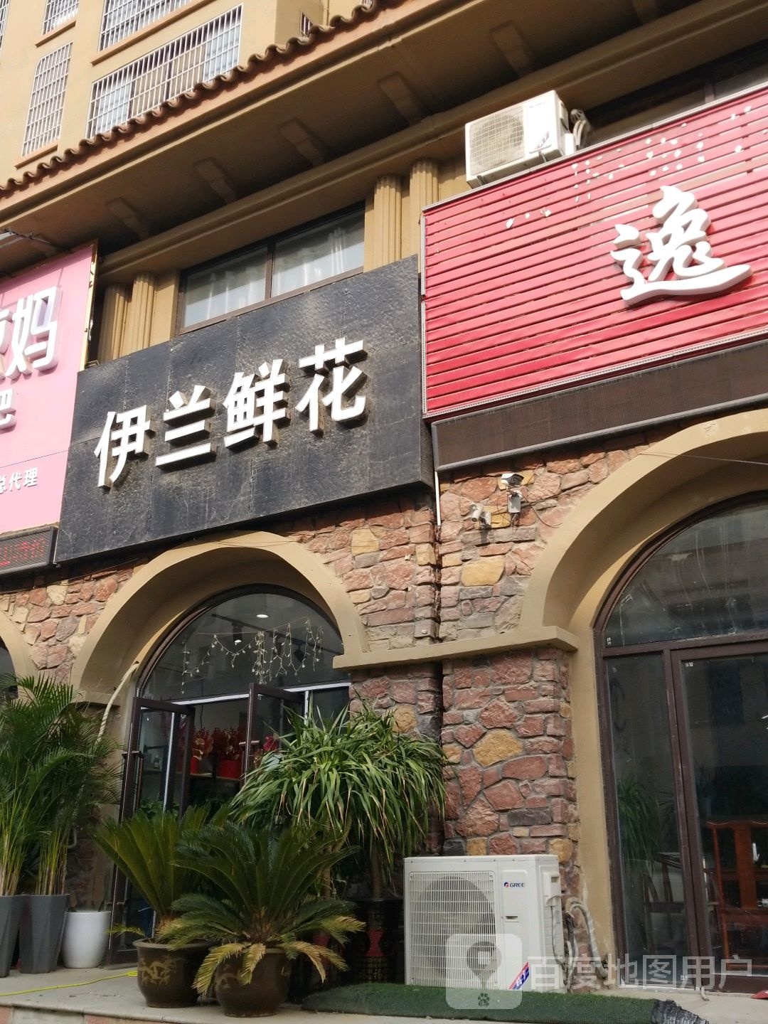 淮滨县伊兰鲜花(洪河路店)