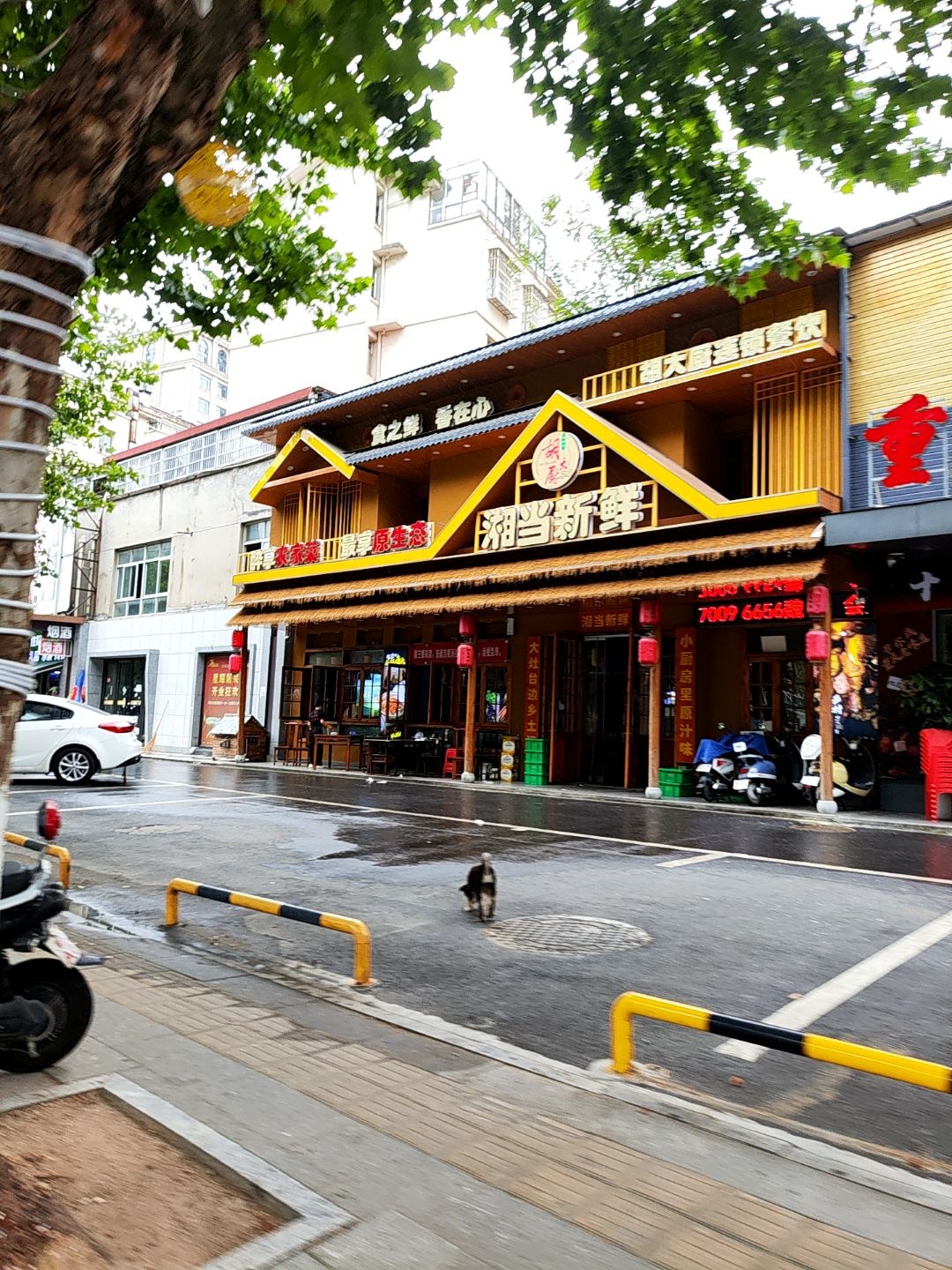 胡大厨·湘当新鲜(抚生路店)