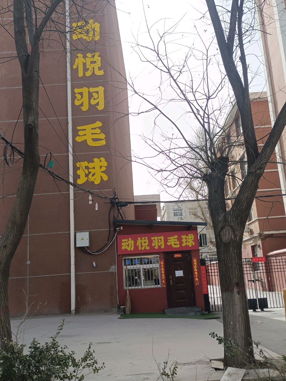 动悦羽毛球