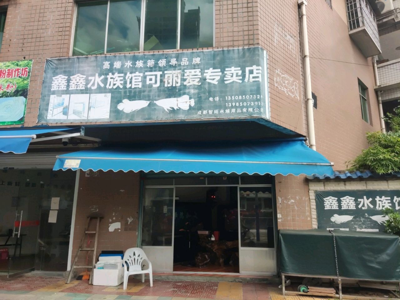鑫鑫水族馆可丽爱专卖店