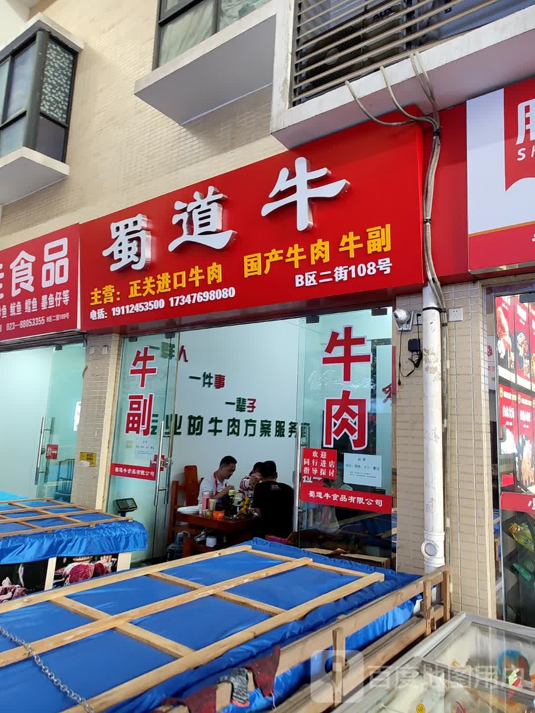 属道牛