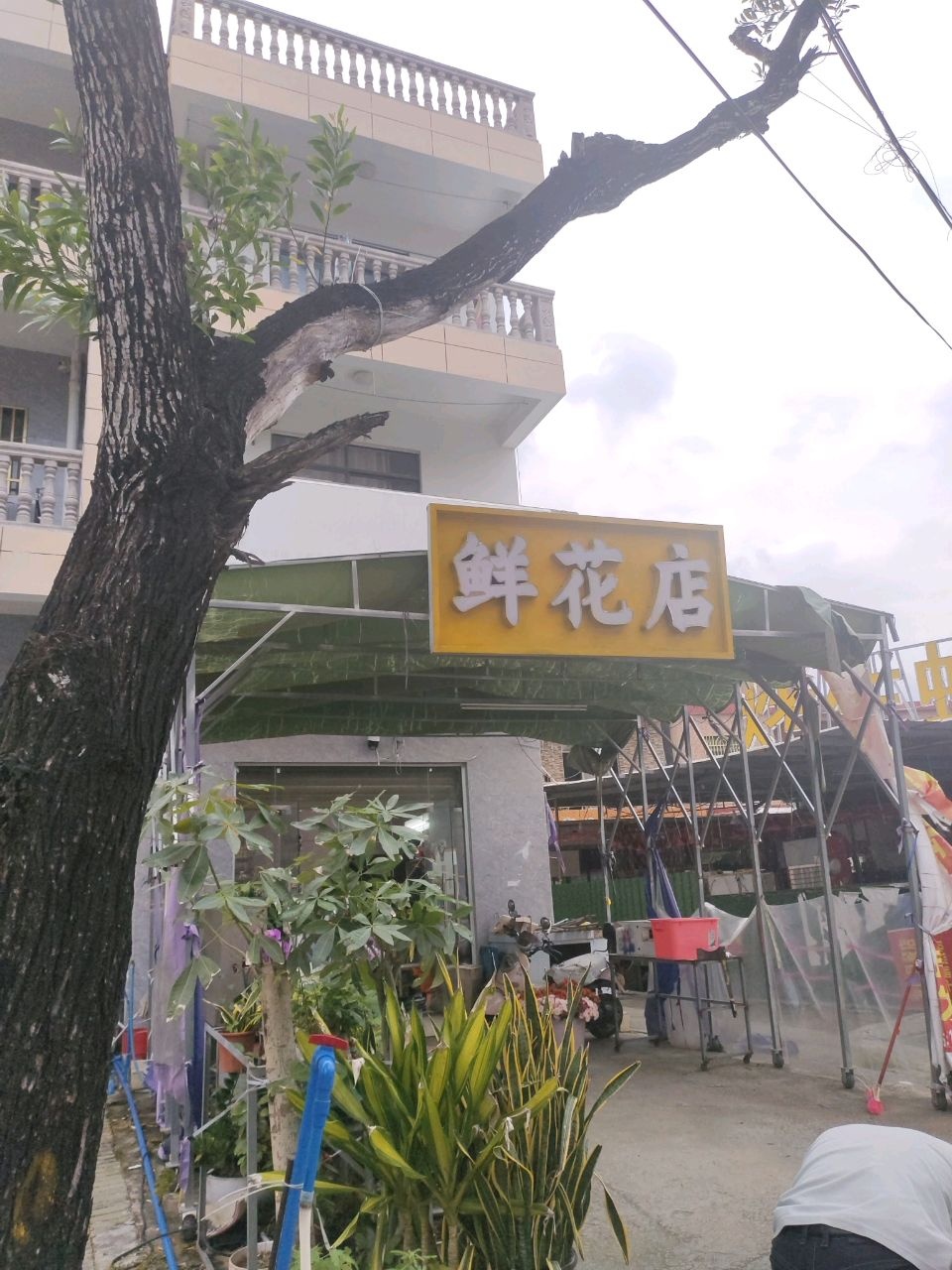 流星花园鲜花店(英州镇店)