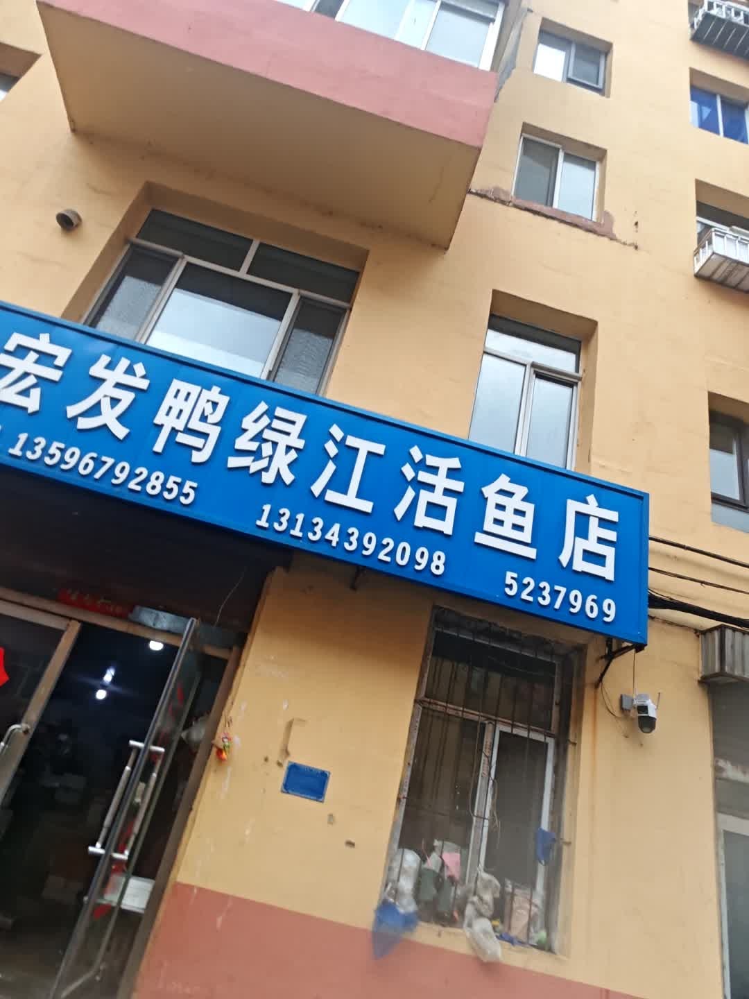 宏发苇沙河鸭绿江活鱼