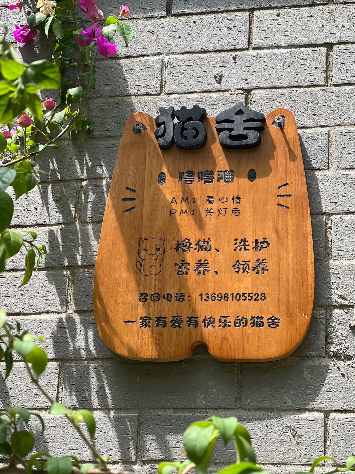 大竹噜噜喵猫舍