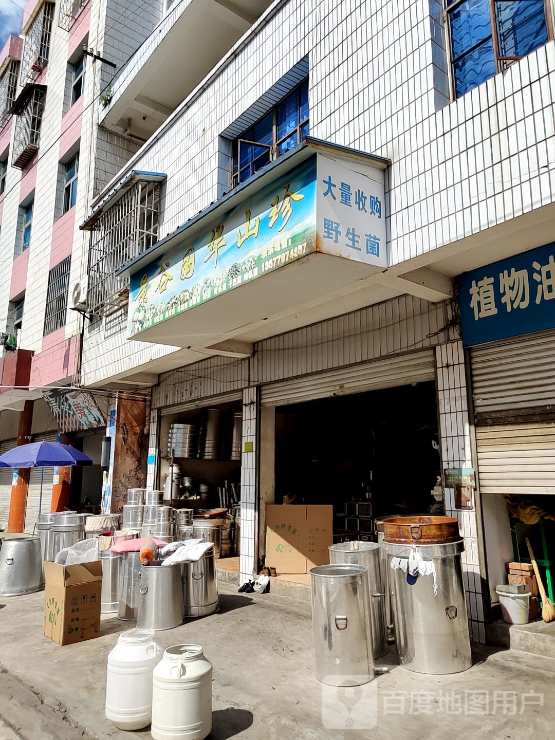 大量收购野生菌