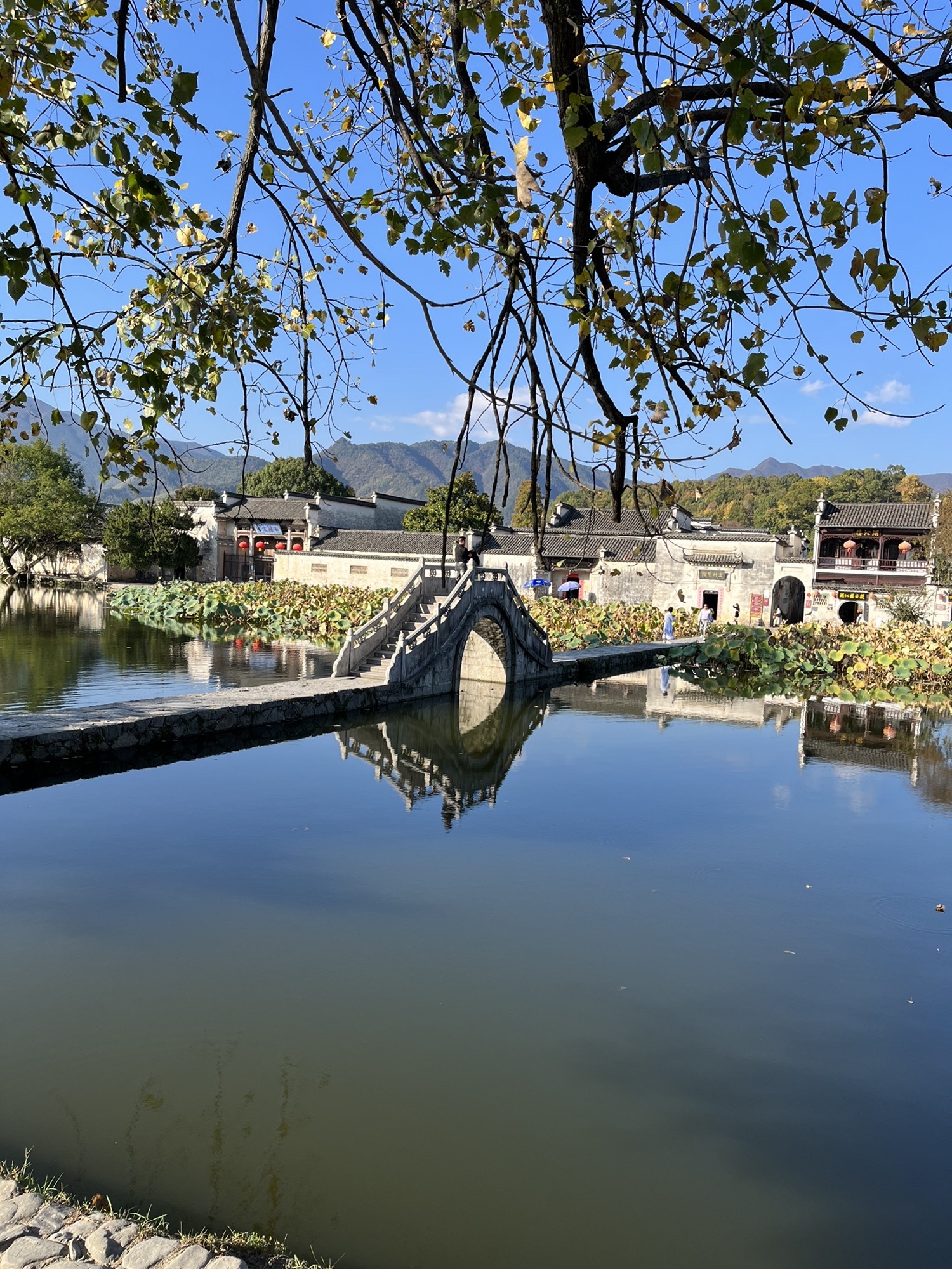 宏村景区月沼