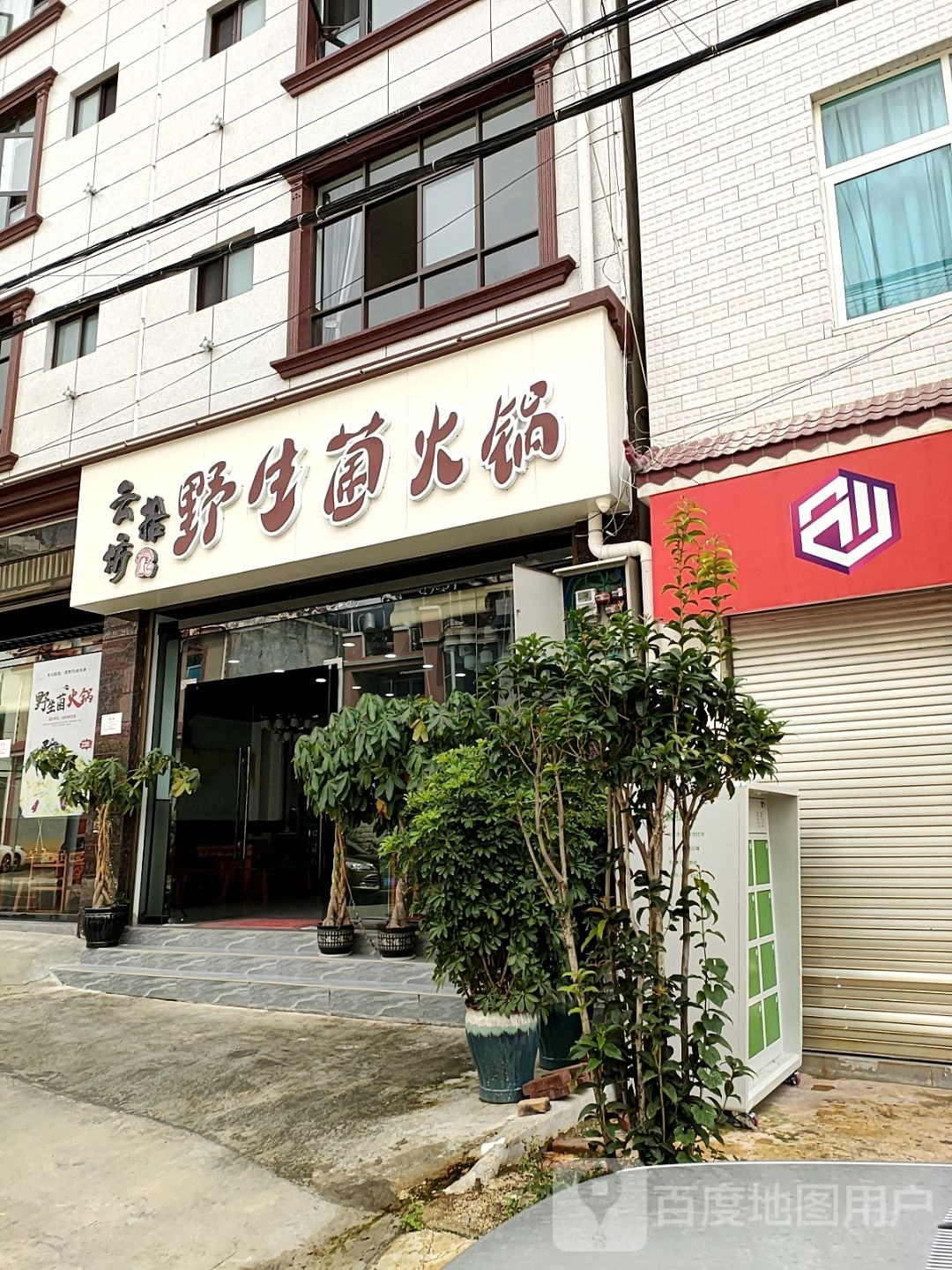 云拾坊野生菌活过