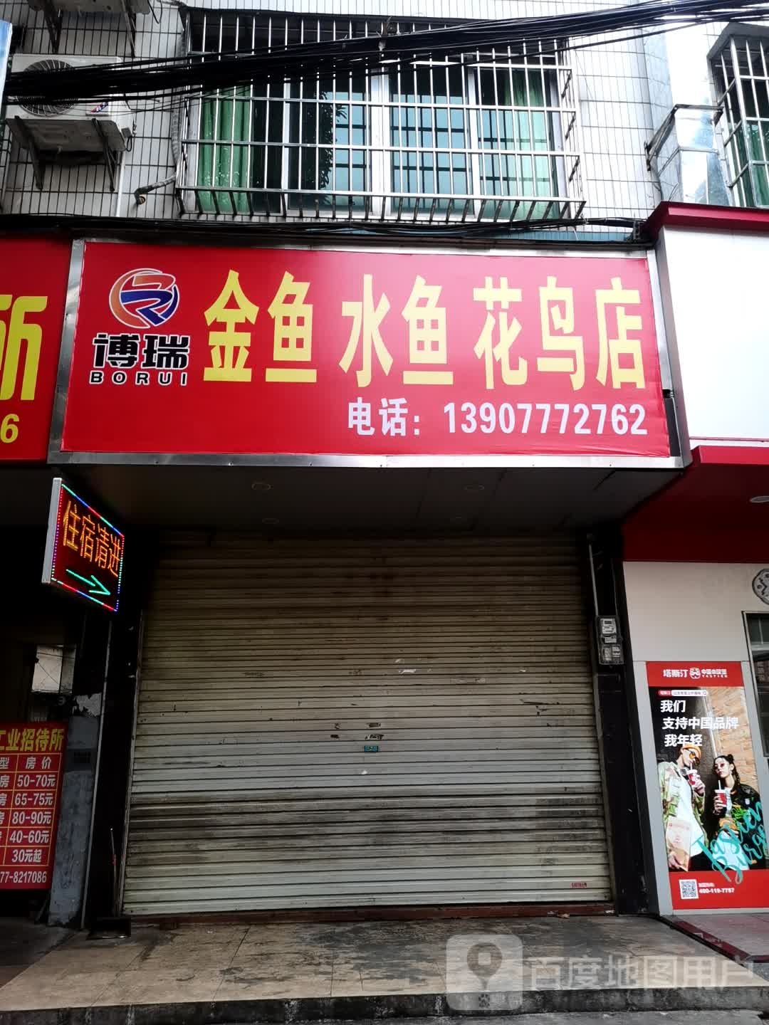 博瑞金鱼水鱼花鸟店