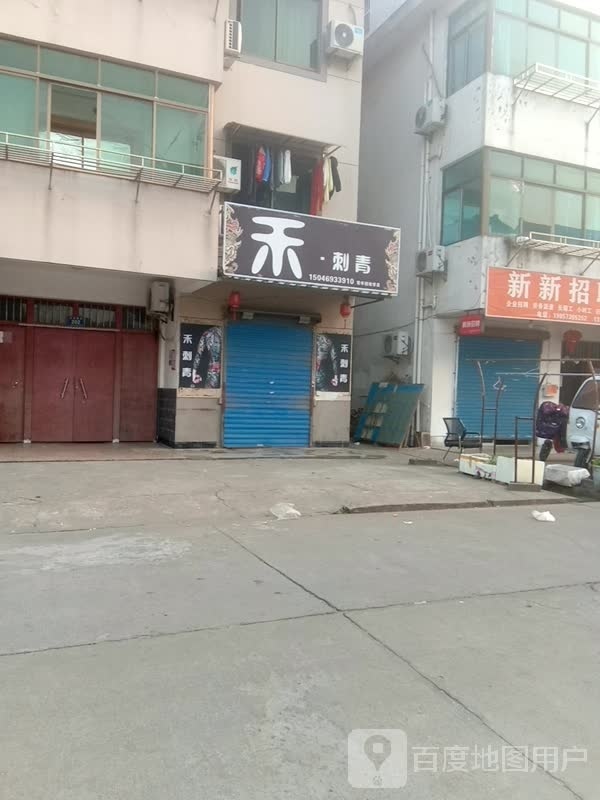 缢青刺缬禾蕤·