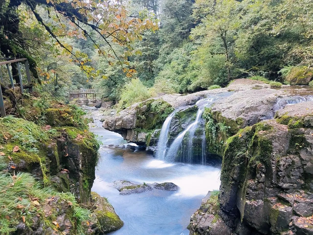 龙苍沟国家级森林公园