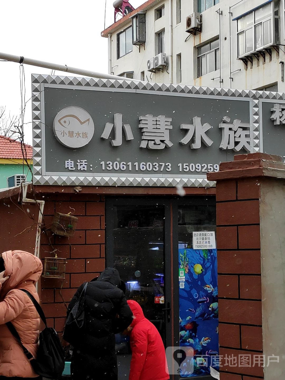 小慧水族