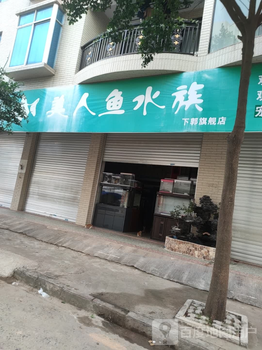美人鱼水族(下郭旗舰店)