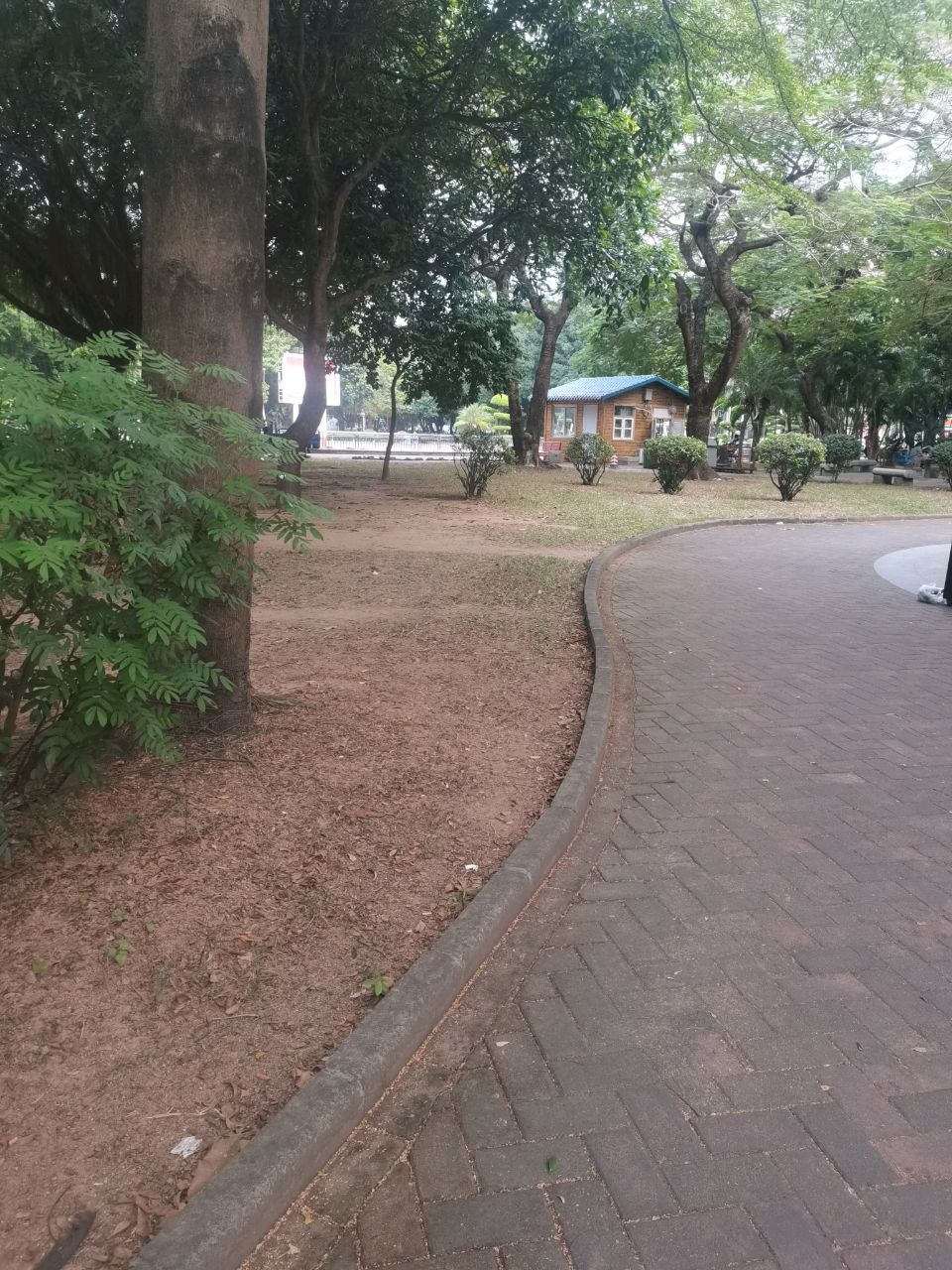 街心公园