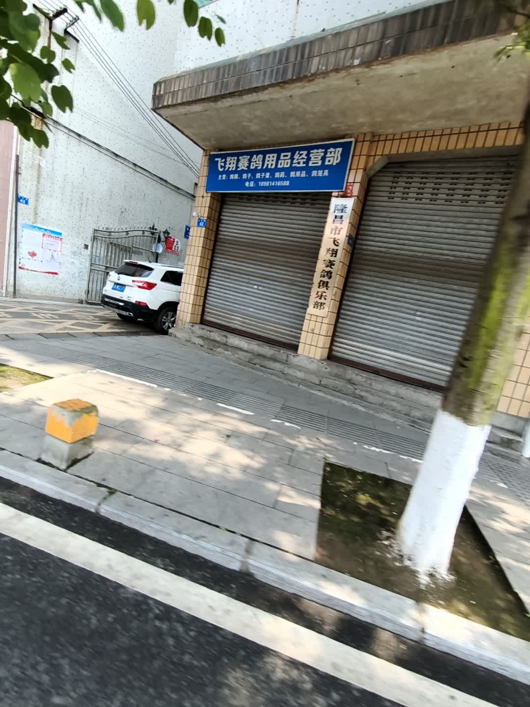 隆昌市飞翔赛鸽俱乐部