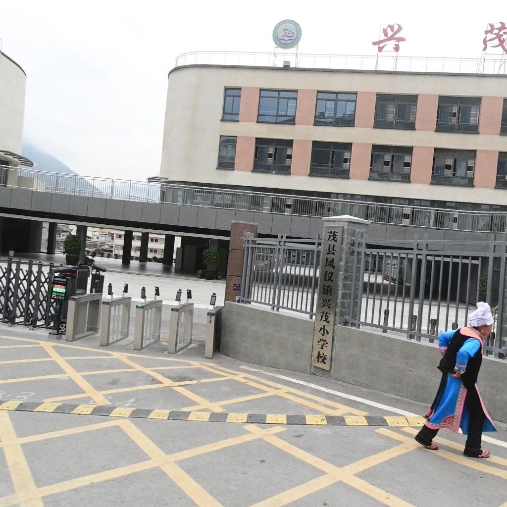 凤仪镇兴茂小学校