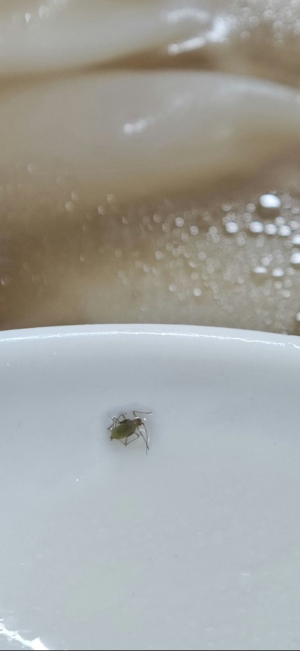 沙县小吃(第一城店)