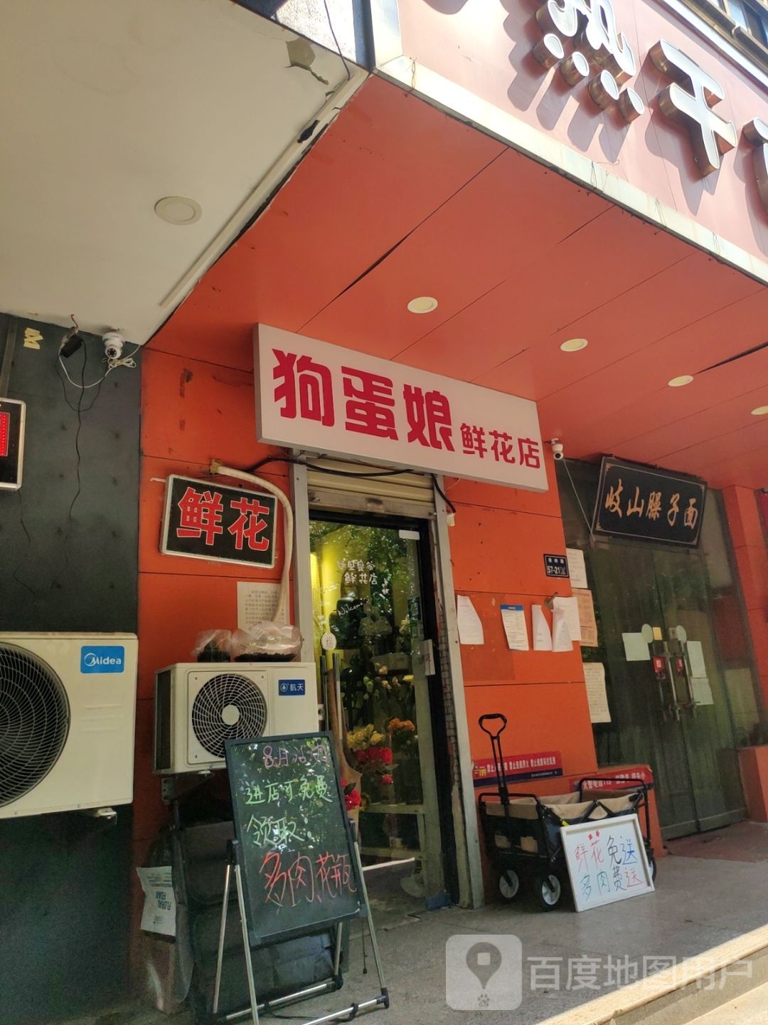 狗蛋娘鲜花店