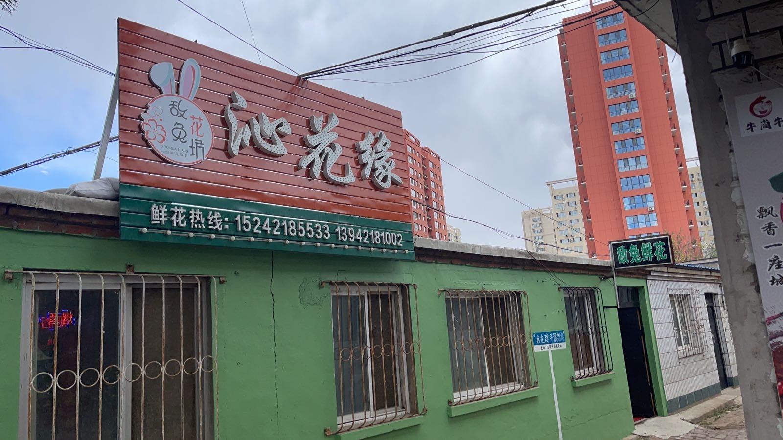 沁花缘
