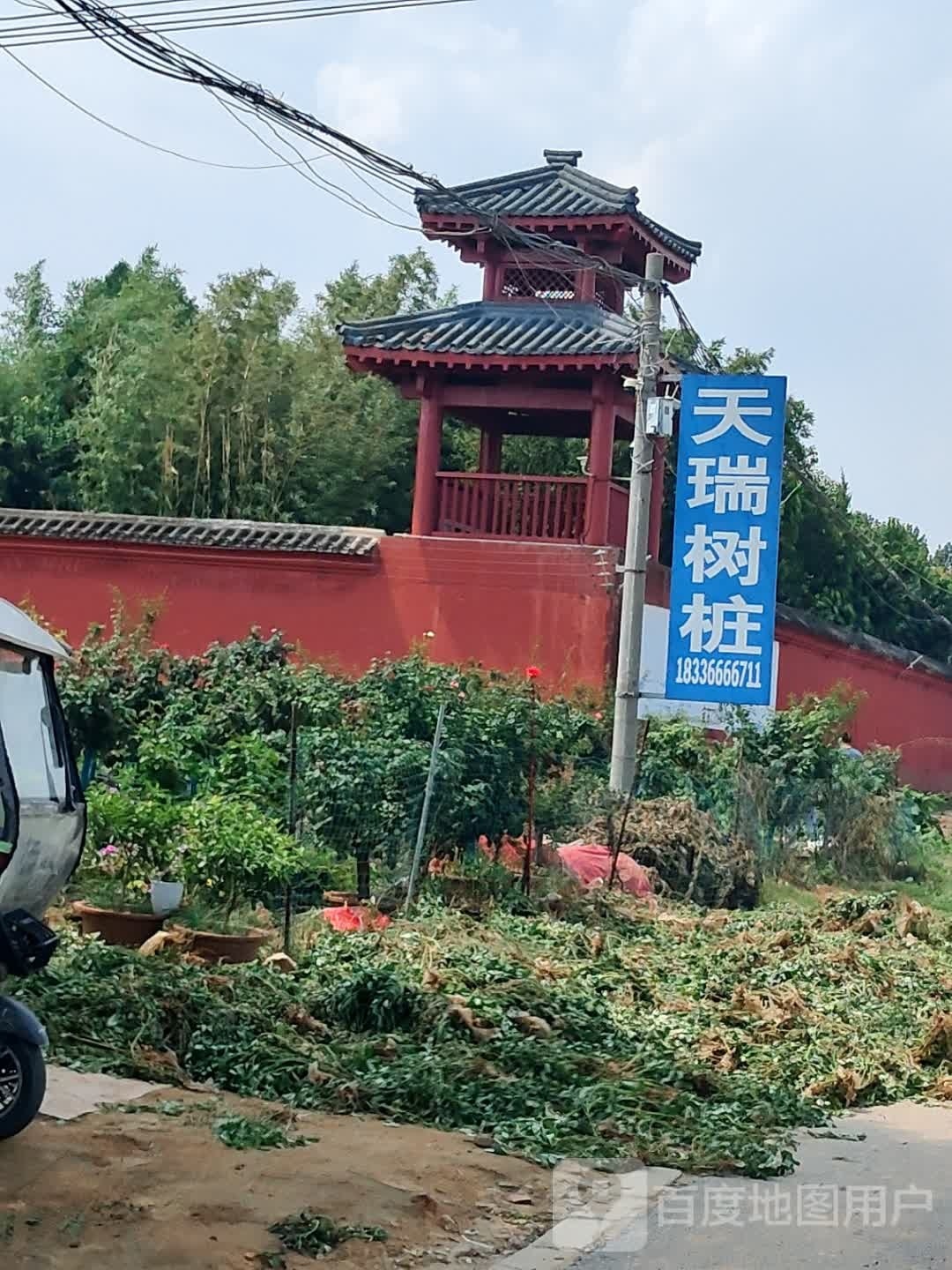 天瑞树桩悦集