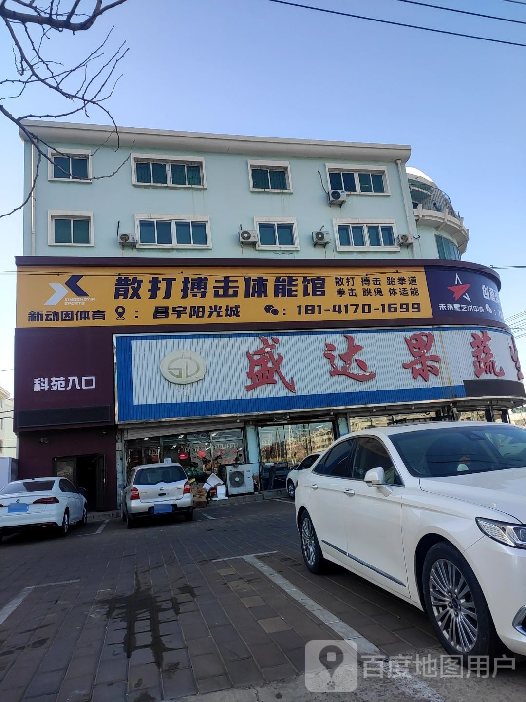 散打跆搏击体能馆