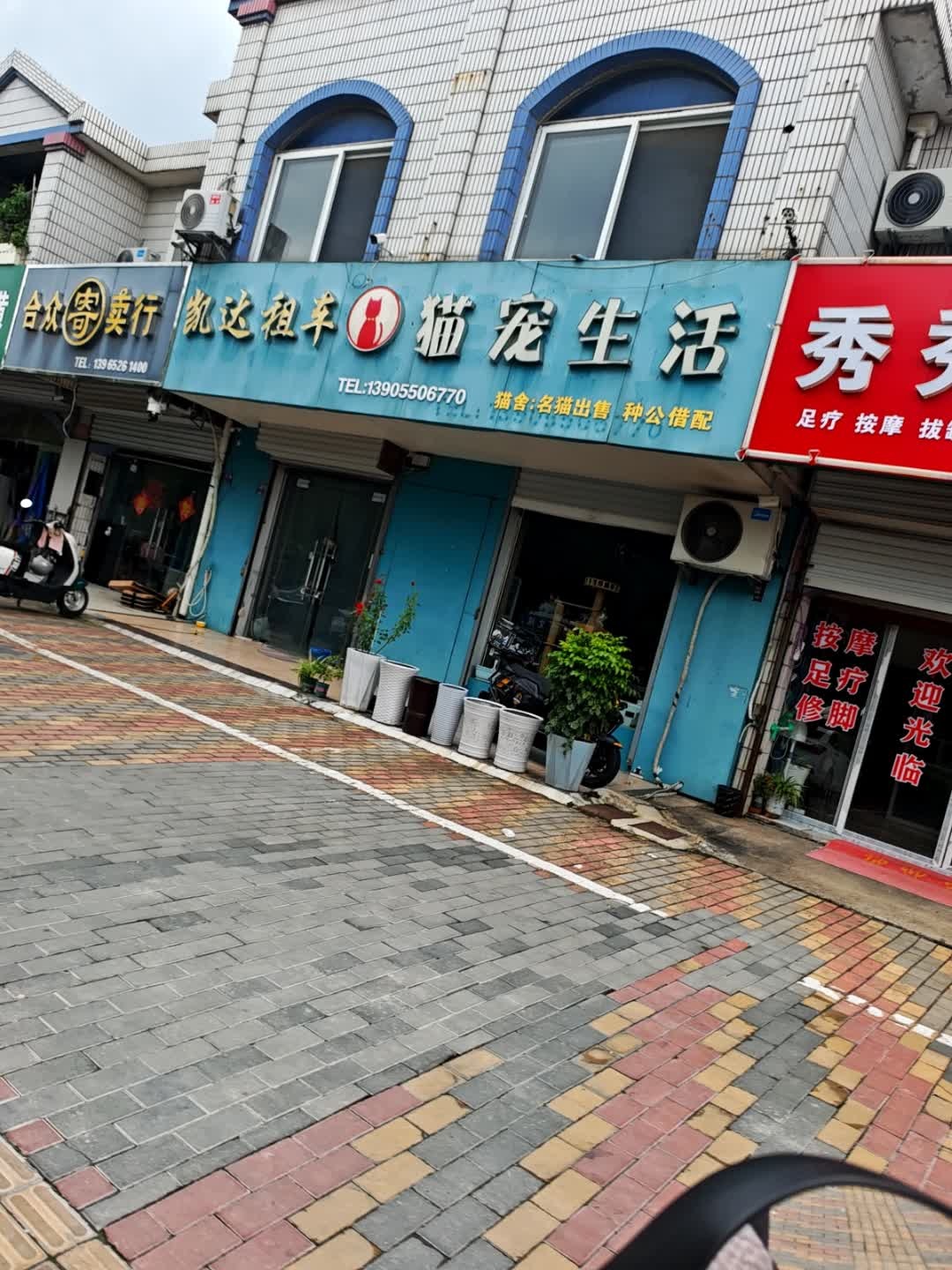 猫宠生活