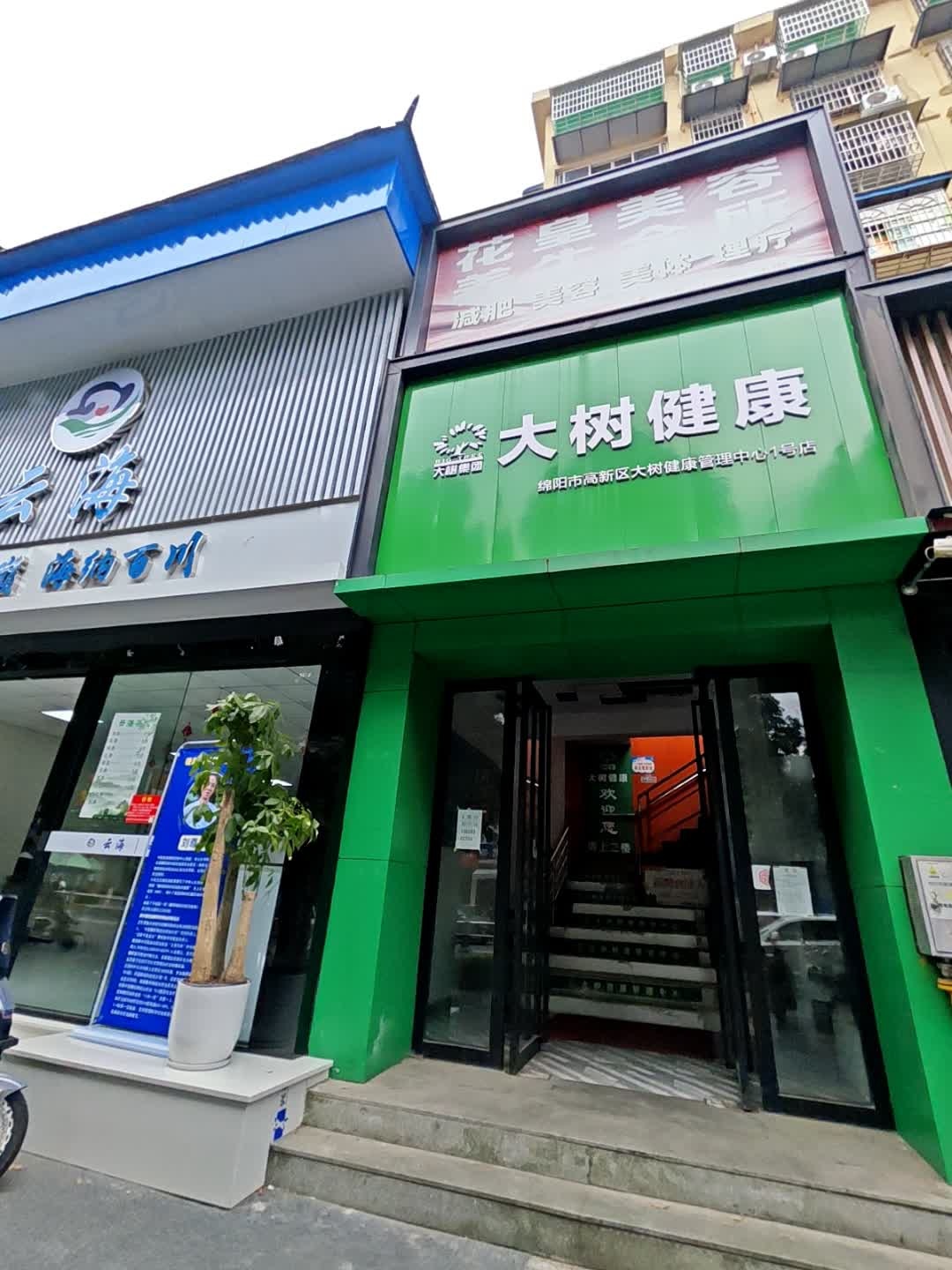 大树健康