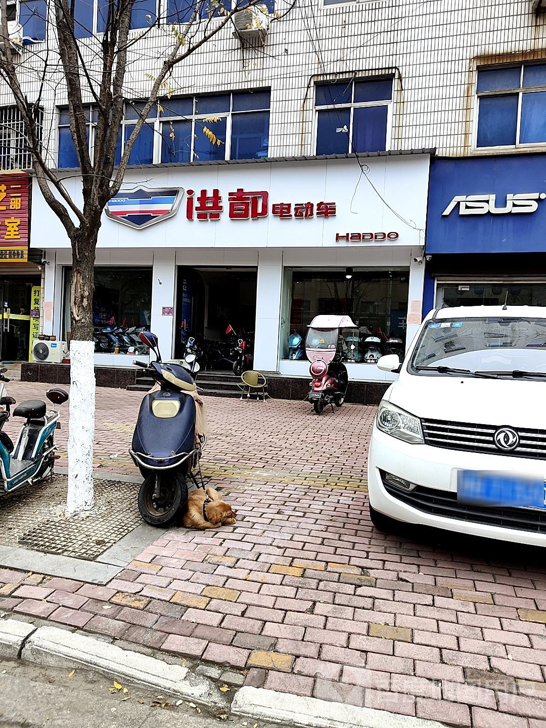 桐柏县洪都电动车(淮源路店)