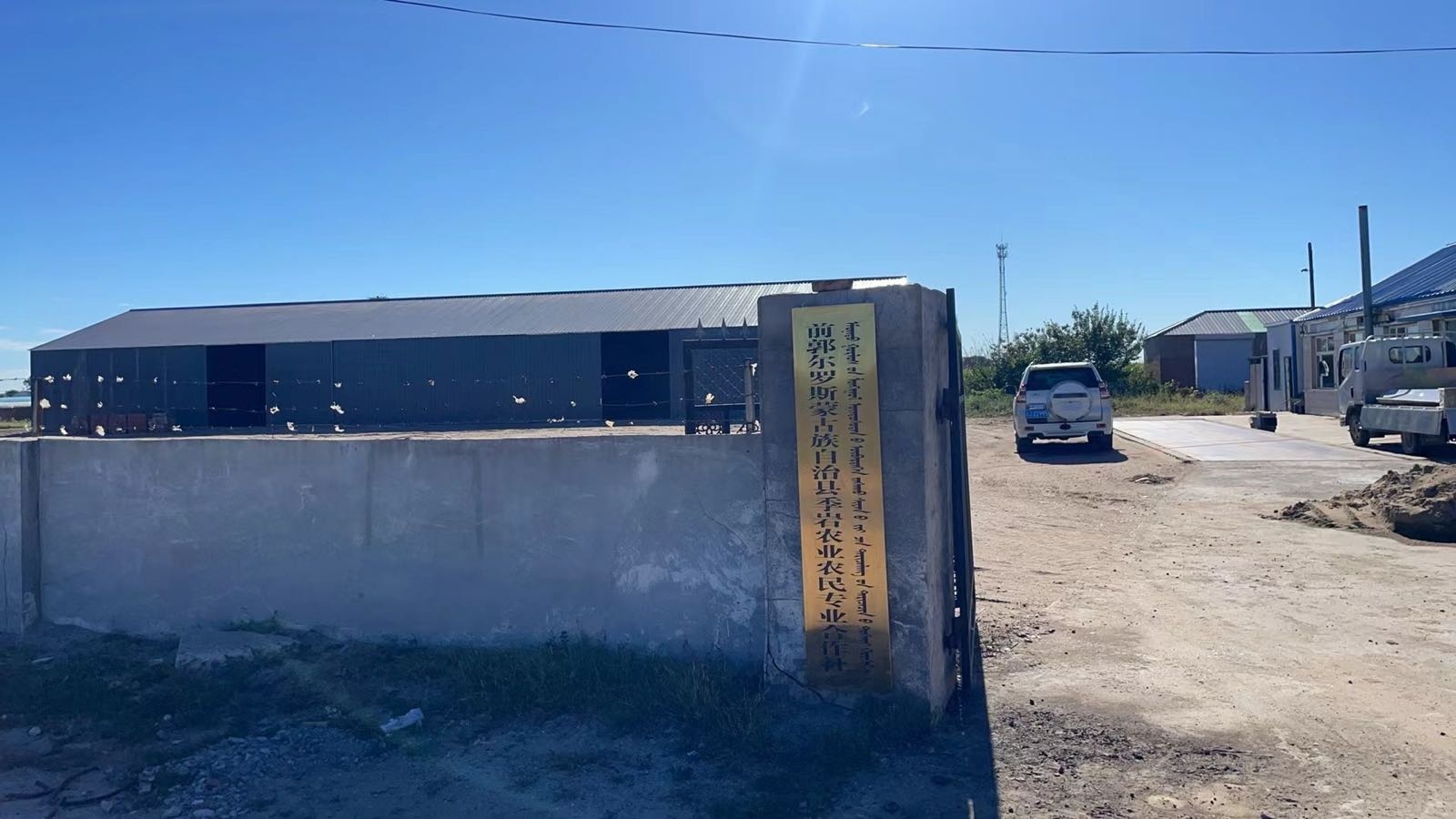 国庆花生收购站