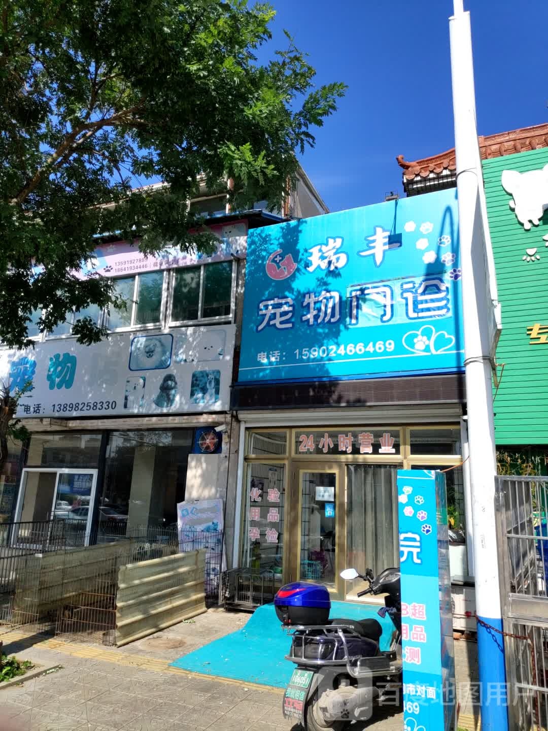 老四宠物店