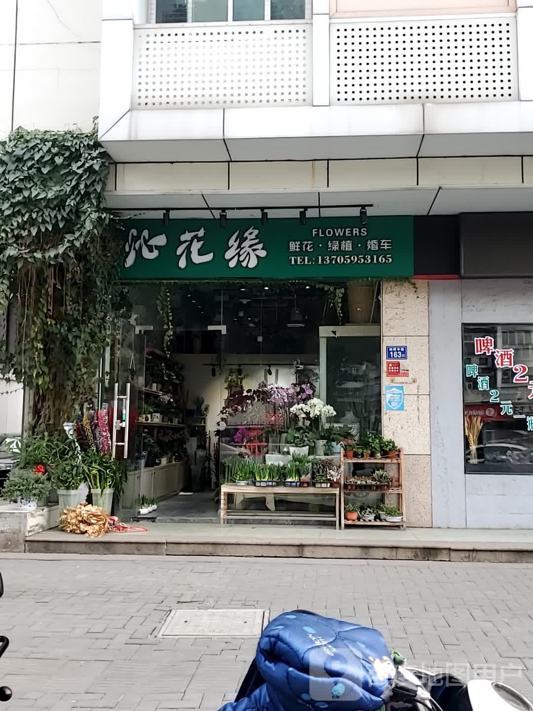 沁花缘鲜花绿植(洪建大厦B座店)