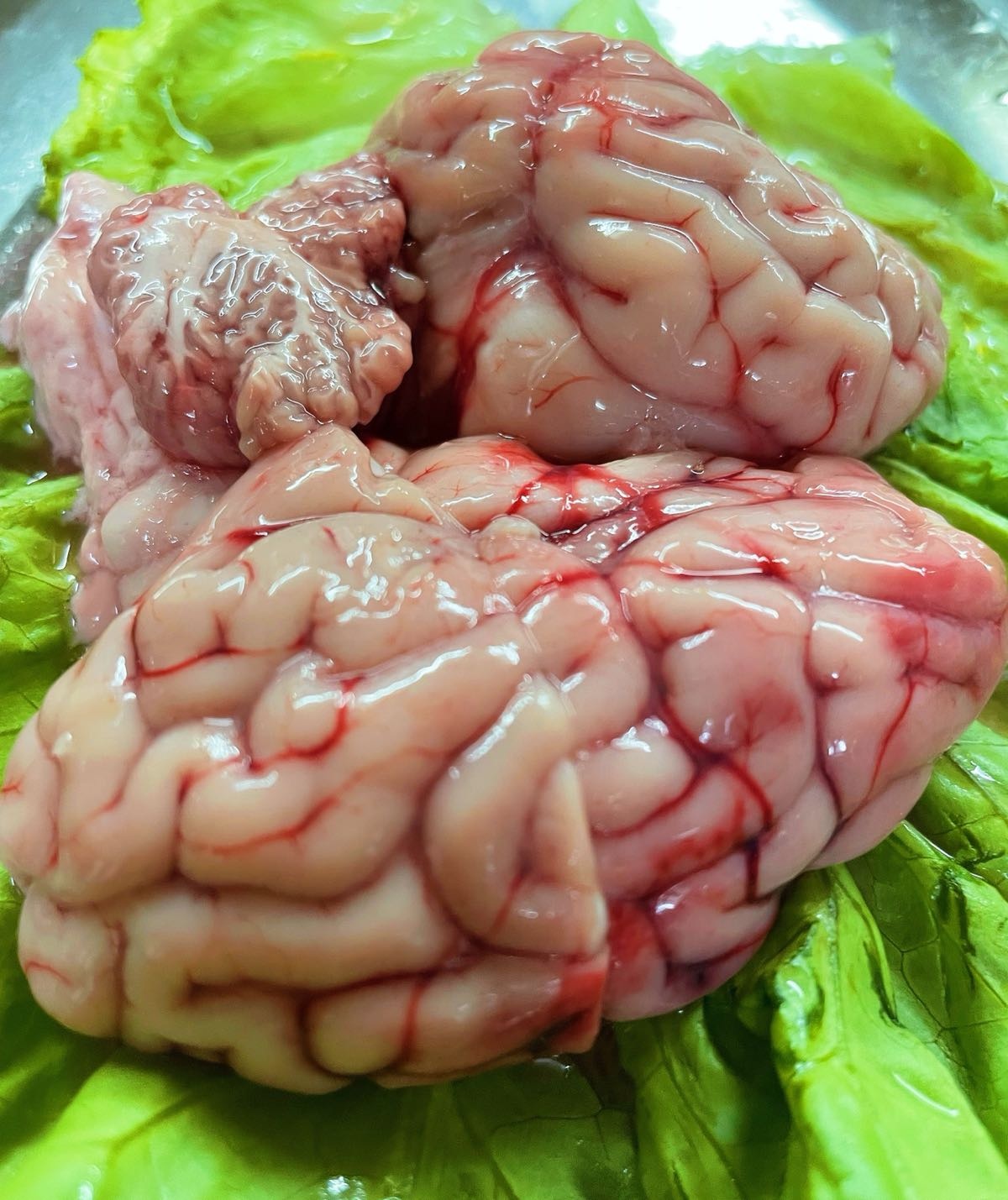 苏岗羊肉火锅店·夏季粥水桑拿(街七巷店)