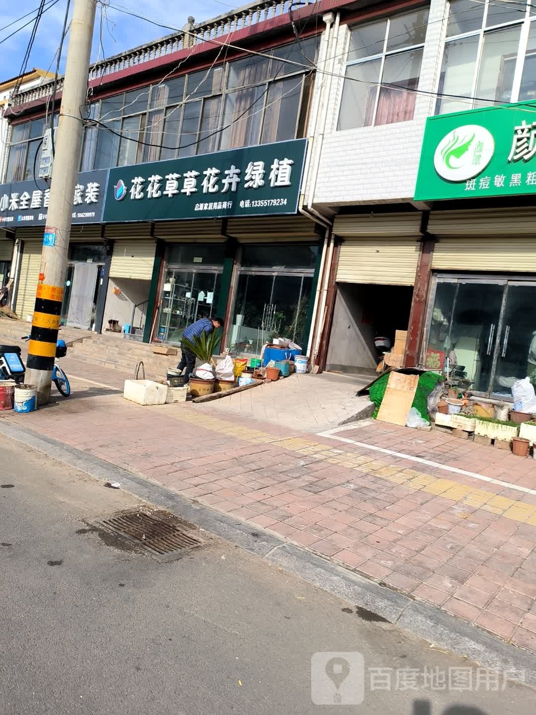 花花草草花卉绿植